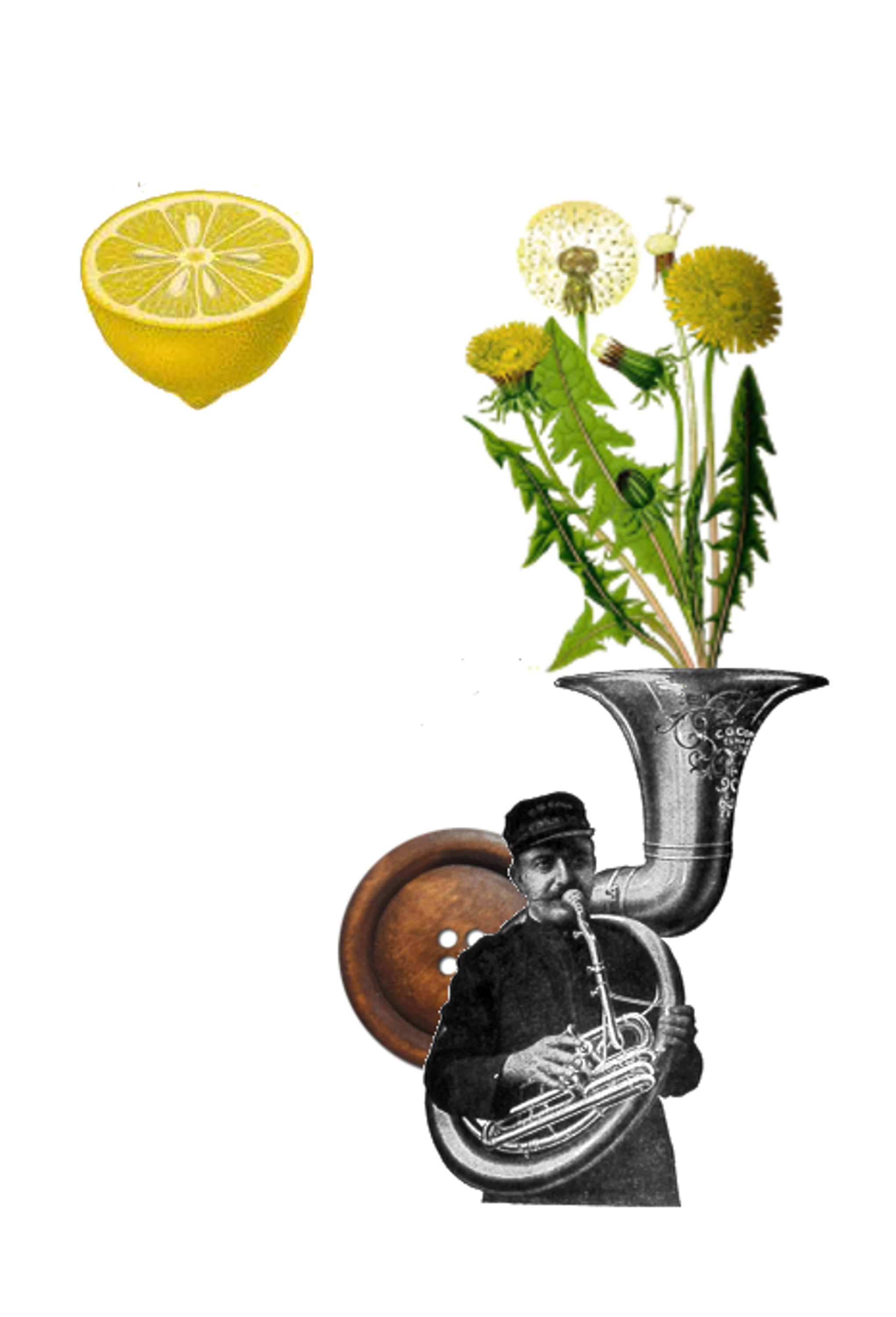 sous man raincatcher